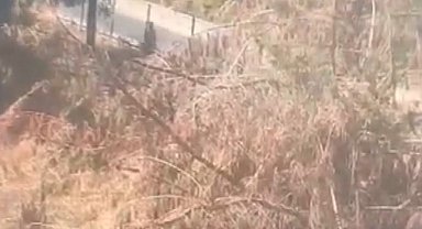 İstanbul - Şişli'de ağaçlık alanda çıkan yangın söndürüldü; şüpheli kamerada