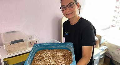 Kafes hayvanları ölünce un kurdu ve bitkiden 'şifa tesisi' kurdu