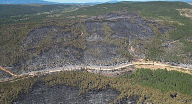 Karabük ve Kastamonu'da orman yangınlarına müdahale sürüyor