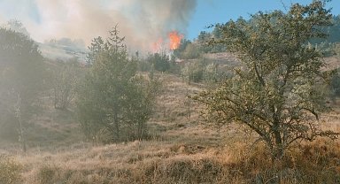 Karabük'te orman yangını