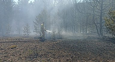 Kastamonu'da orman yangınında 10 dönüm alan zarar gördü