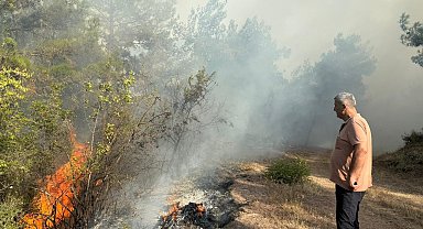 Kastamonu'daki orman yangınları 2'nci gününde