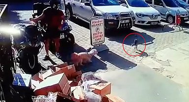 Kediyi tekmeleyen şüpheliye gözaltı