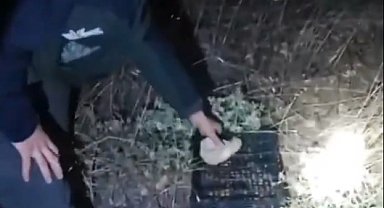 Kırşehir'de yasa dışı avcılık denetimi