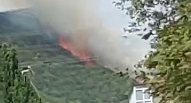 Kocaeli'de orman yangını