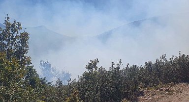 Konya'da orman yangını kısa sürede söndürüldü