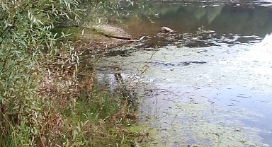 Köylüler, göldeki çöpleri temizledi