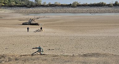 Kuraklık nedeniyle Çınarlı Göleti'nde balık ölümleri arttı