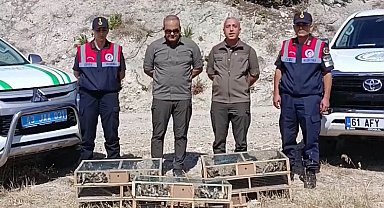 Kütahya'de ele geçirilen 142 saka kuşu doğaya salındı