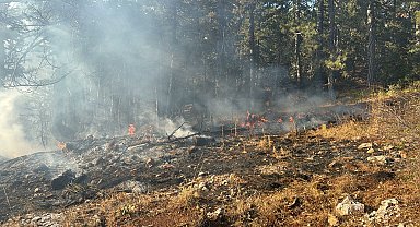 Manisa'da orman yangını; 2 saatte söndürüldü