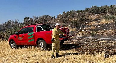 Mardin'in 2 ilçesinde örtü yangını