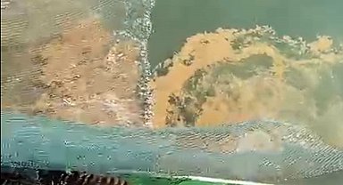 Marmara Denizi'nde müsilaj tehdidi