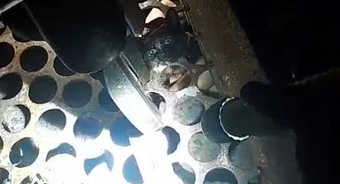 Mazgaldan kurtarılan yavru kediye 'Mazgal' adı verildi