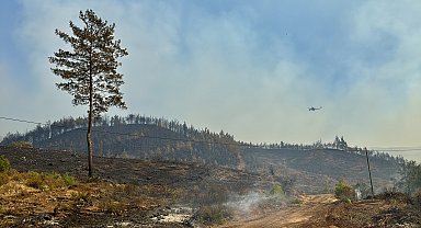 Muğla Köyceğiz'deki orman yangınında 2'nci gün