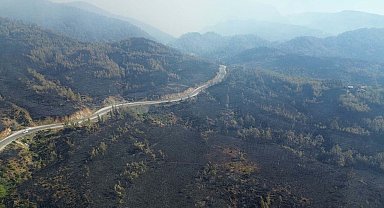 Muğla Köyceğiz'deki orman yangınında 2'nci gün