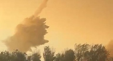 Muğla Milas'daki yangın Aydın'a sıçradı