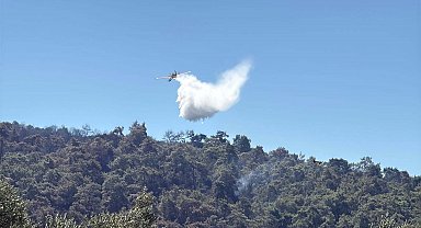 Muğla Milas'taki orman yangınında 2'nci gün