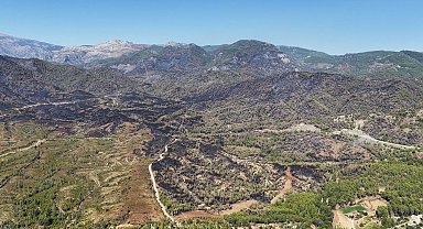 Muğla'da 3 bin hektar ormanın zarar gördüğü yangında yanan alanlar dronla görüntülendi