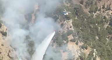 Muğla'da orman yangını