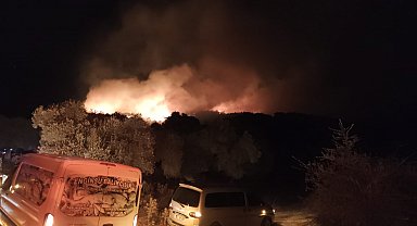 Muğla'da orman yangını