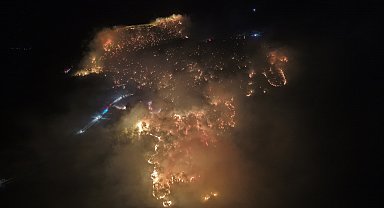 Muğla'da orman yangını