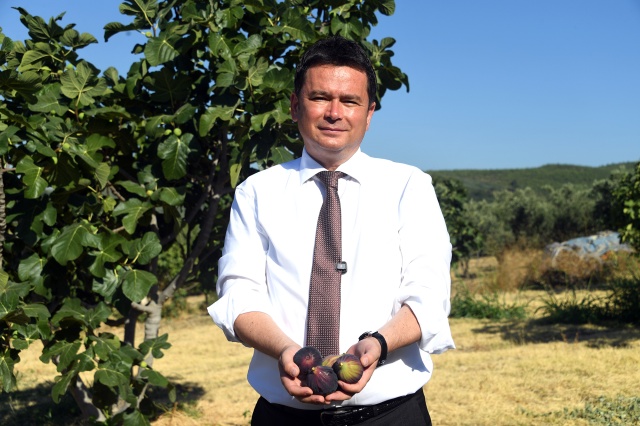 Osmangazi’den Dünyaya Açılan lezzet “Bursa Siyah İnciri”