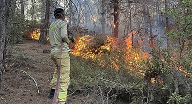 Osmaniye'deki orman yangını 1 saatte söndürüldü