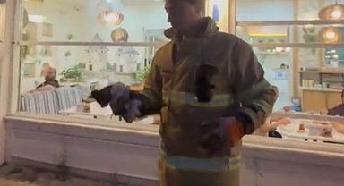 Otomobilin motoruna sıkışan yavru kedi kurtarıldı