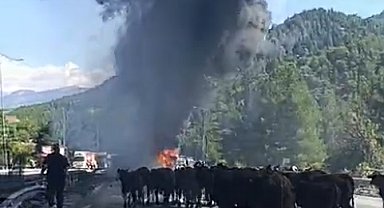 Otoyolda TIR yandı, dorsedeki hayvanları sürücü kurtardı