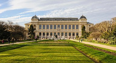 Paris'te müzeden 700 bin dolarlık altın çalındı