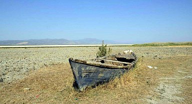 Prof. Dr. Şimşek: 240 gölden 186'sı kurudu