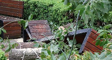 Rüzgarın devirdiği ağaç, parktaki bankların üzerine düştü