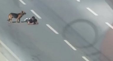 Samsun'da bir kişi, ana yolun sağ şeridinde sürünerek ilerledi; o anlar kamerada