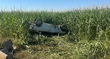 Şanlıurfa'da otomobil, tarlaya devrildi; 1 ölü, 1 yaralı