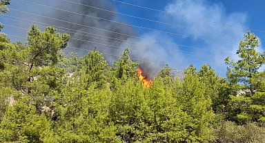 Serik'te orman yangını