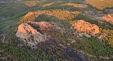 Serik'teki orman yangınına ilişkin 1 gözaltı