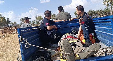 Siirt'te ağaçtan düşen çiftçi patpatla ambulansa taşındı