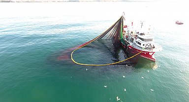 Sinop'ta balıkçılar yeni sezondan umutlu