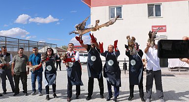 Tedavi ve rehabilitasyonu tamamlanan 27 kuş doğaya salındı