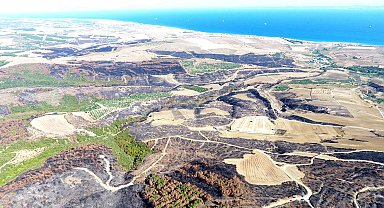 Tekirdağ'da yanan orman temizleniyor, kesilen ağaçlar istifleniyor