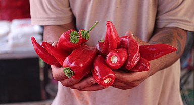 Tescilli biberin salça yolculuğu başladı