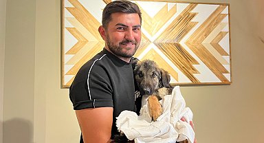 Trafik kazasında felç kalan yavru köpek 'Nazlı'yı tedavi ettirip sahiplendi