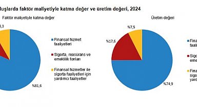 TÜİK: 2024'te 21 bin 463 mali aracı kuruluş faaliyet gösterdi