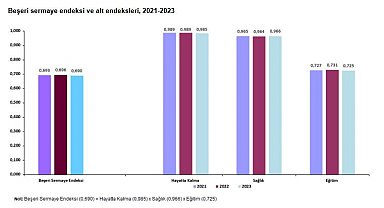 TÜİK: Beşeri sermaye endeksi 2023'te 0,690 oldu