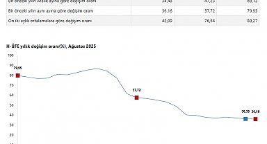 TÜİK: Hizmet üretici fiyatları ağustosta arttı