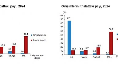 TÜİK: İhracatın yüzde 44,4'ünü büyük ölçekli girişimler yaptı