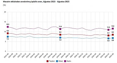 TÜİK: İşsizlik oranı ağustosta yüzde 8,5 oldu
