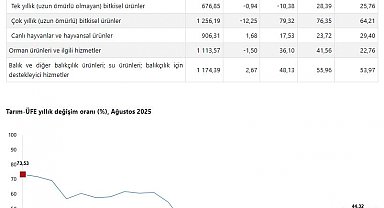 TÜİK: Tarım ürünleri üretici fiyatları aylık yüzde 3,45 azaldı