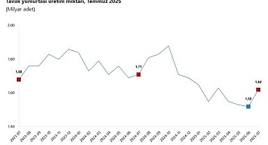 TÜİK: Yumurta, tavuk eti ve içme sütü üretimi arttı