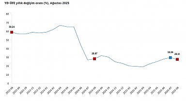 TÜİK: Yurt dışı üretici fiyatları ağustosta arttı
